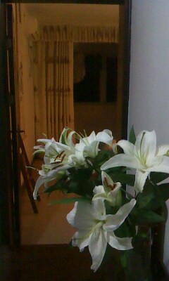 奧林花園集體供暖提包入住