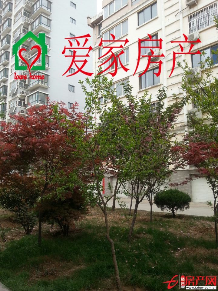 荊善南苑升值空間大，交通便利，有暖氣