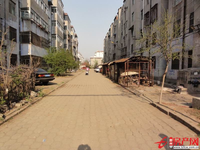 出租別墅，可商住兩用，可當小飯桌、培訓班使用