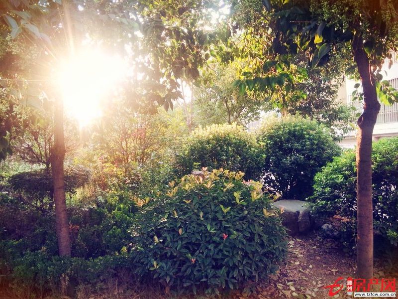 城西通盛錦泰名城可公積金