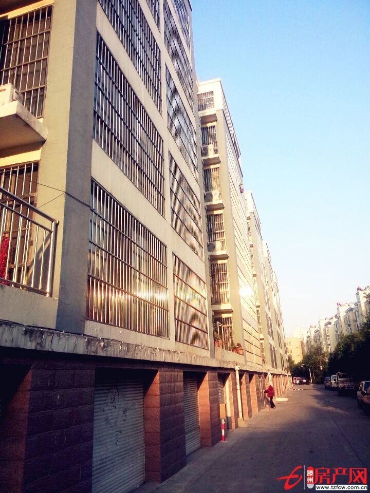 兩室朝陽南北通透錦泰錦城