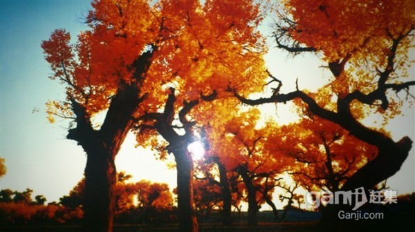 魯東小區三室一廳滿五年集中供暖戶型很棒采光極佳