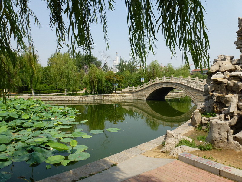 大同天下最佳位置學區房可貸款