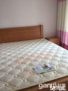 安康花園精裝修溫馨干凈漂亮價格實惠