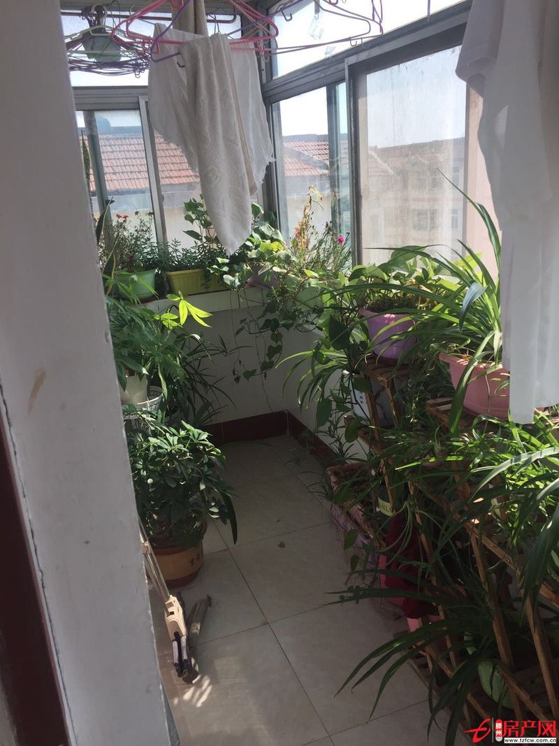 荊善安居三室一廳證滿五年能貸款南北通透戶型好采光好